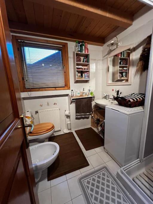 "Fresia" Chalet Turistico A Fisto Apartamento Spiazzo  Exterior foto