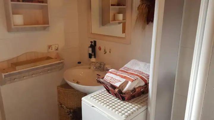 "Fresia" Chalet Turistico A Fisto Apartamento Spiazzo  Exterior foto