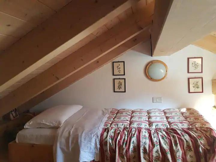"Fresia" Chalet Turistico A Fisto Apartamento Spiazzo  Exterior foto